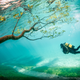 Illustration for article titled The best National Geographic readers photos of 2014